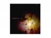 FAINT/ȥѡ A-type[CD]ӥʺ䤨