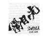 SOPHIA LIVE 2012“陽月ノ光”DVD -PART1-[会場限定DVDR]／SOPHIA