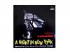 A NIGHT IN NEW YORK[]KANGAROO