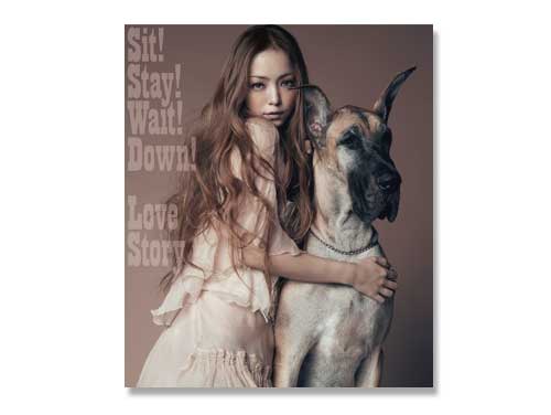 Sit! Stay! Wait! Down!/Love Story(DVD付) 安室奈美恵｜原価マーケット