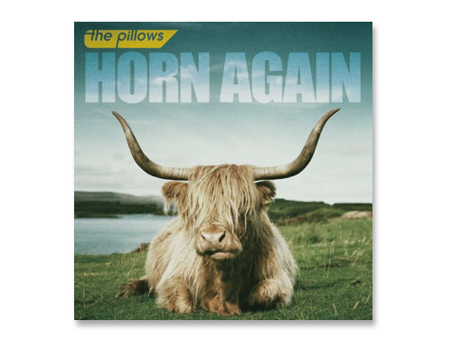 Horn Again Dvd付 The Pillows 中古品 原価マーケット