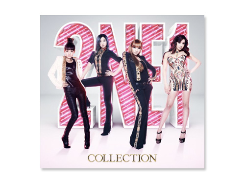 2NE1 1st Live Concert Nolza! 2 DVD 110 Page Photobook New