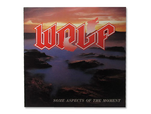 SOME ASPECTS OF THE MOMENT[廃盤]／WOLF｜原価マーケット