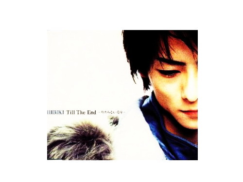 Till The End～終わらない愛を～[廃盤]／HIBIKI(D-SHADE)